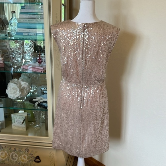 NWOT J. Crew Pale Pink Sequin Dress Size 2 - Picture 4 of 6
